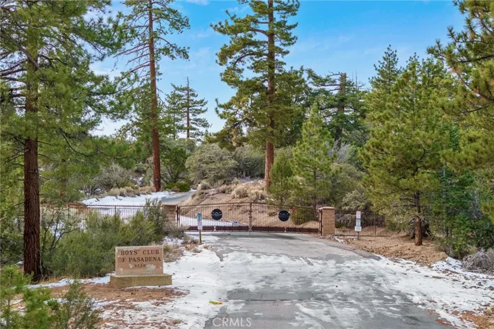 3780 State Hwy 38, Angelus Oaks, California 92305