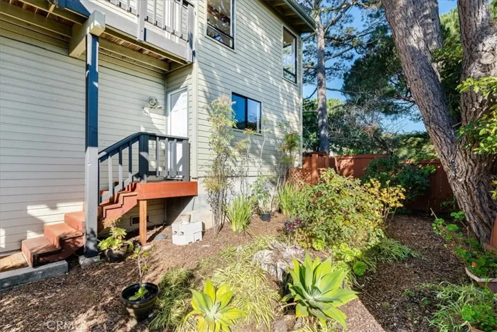 View of backyard from corner of yard.