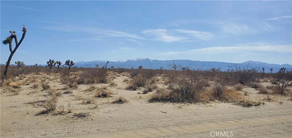 20 Acres Holly Road, Phelan, California 92371