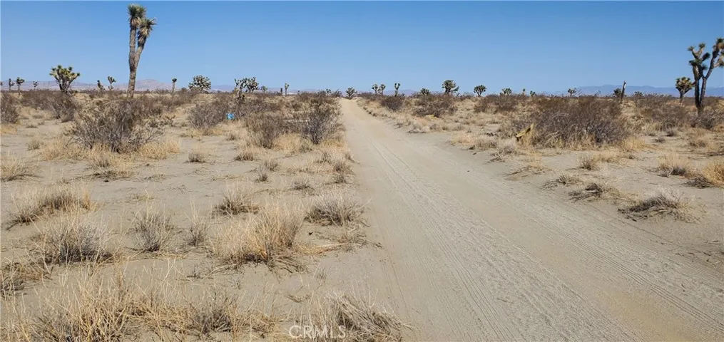20 Acres Holly Road, Phelan, California 92371