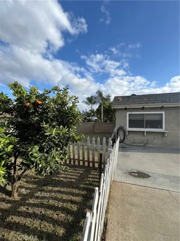 Side Yard