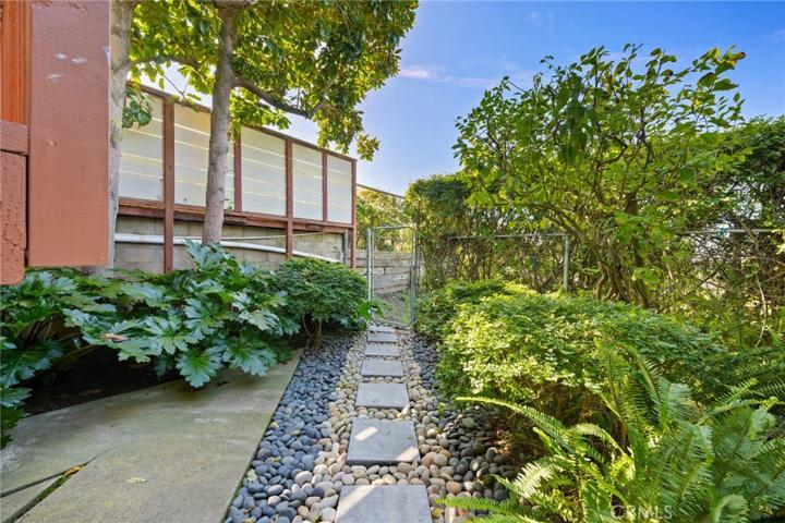 Rear Yard