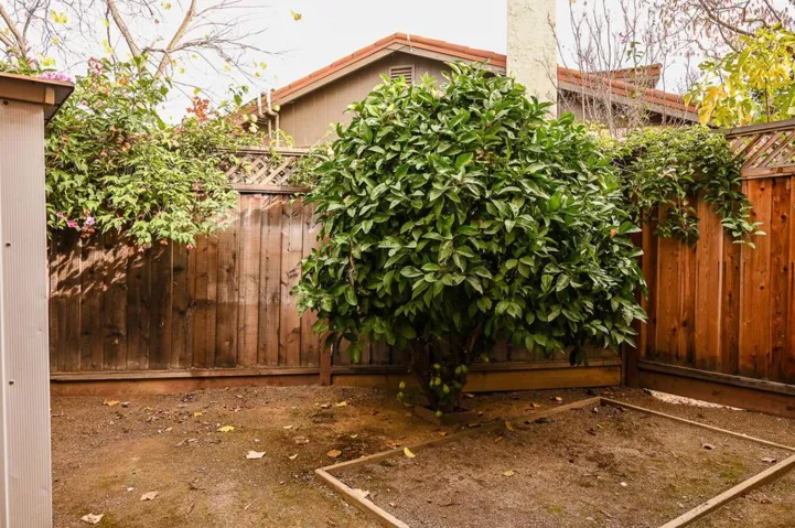 2738 Ramos Court, Mountain View, California 94040
