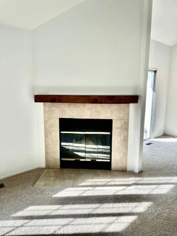 Fire Place