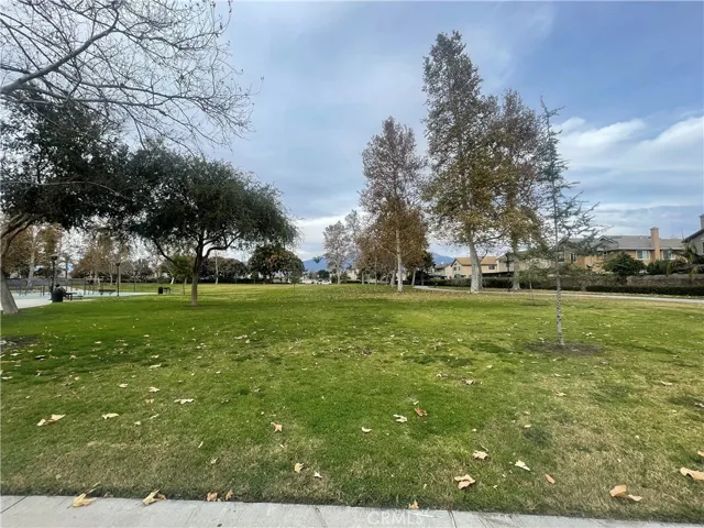 Park Field