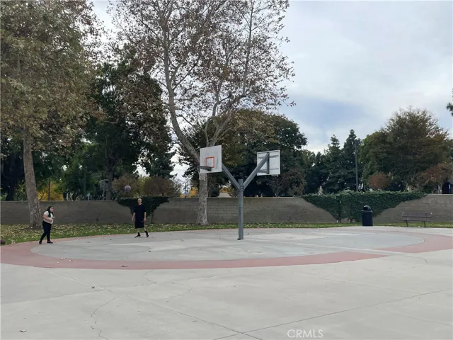 Basketball court