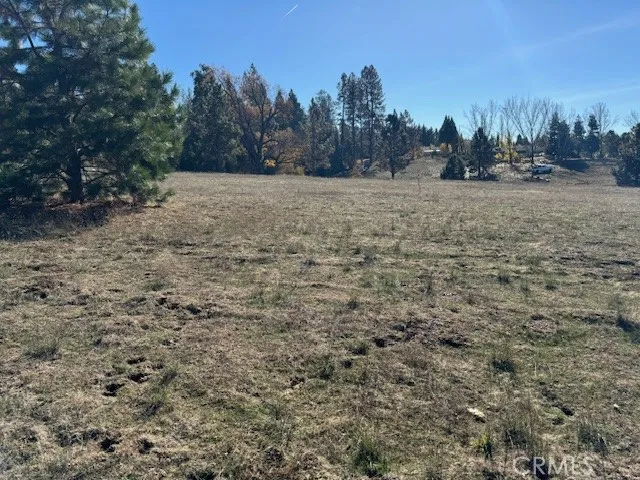 10258 Holtzel Road, Coulterville, California 95311