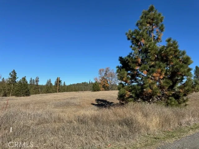 10258 Holtzel Road, Coulterville, California 95311