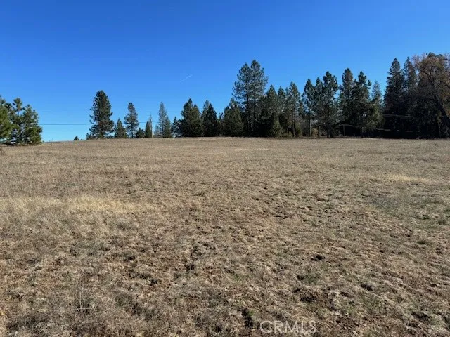 10258 Holtzel Road, Coulterville, California 95311
