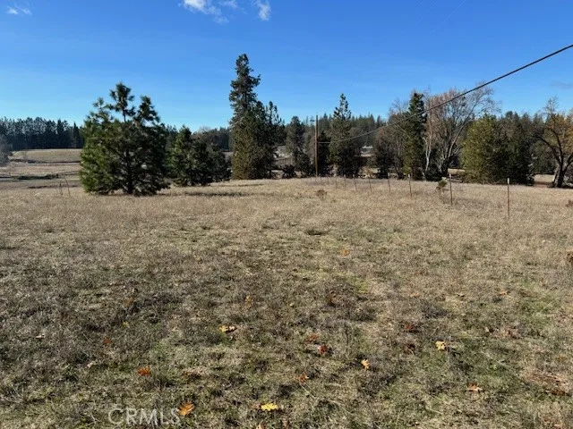 10258 Holtzel Road, Coulterville, California 95311