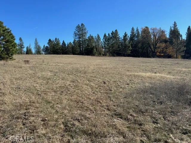 10258 Holtzel Road, Coulterville, California 95311