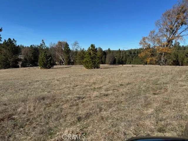 10258 Holtzel Road, Coulterville, California 95311