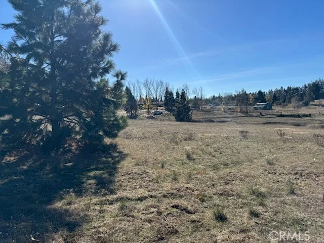 10258 Holtzel Road, Coulterville, California 95311