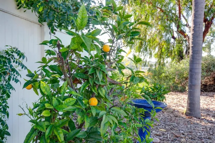 2495 Melissa Ct, Vista, California 92081