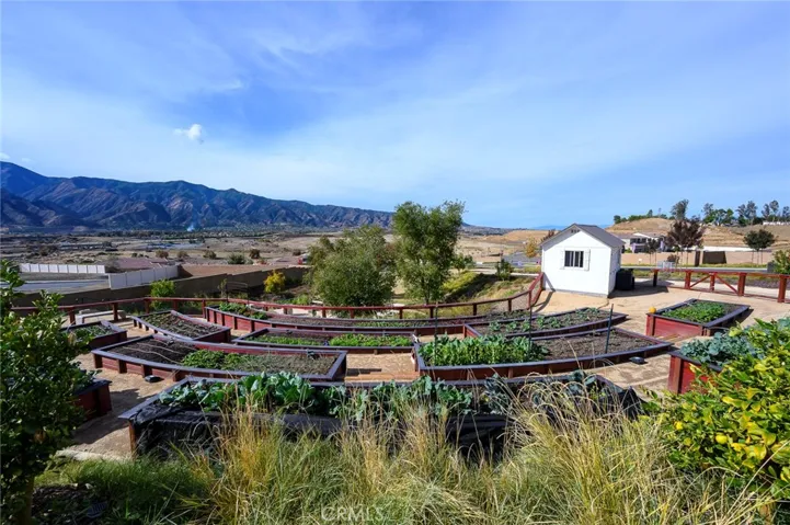 Community garden for 55 plus