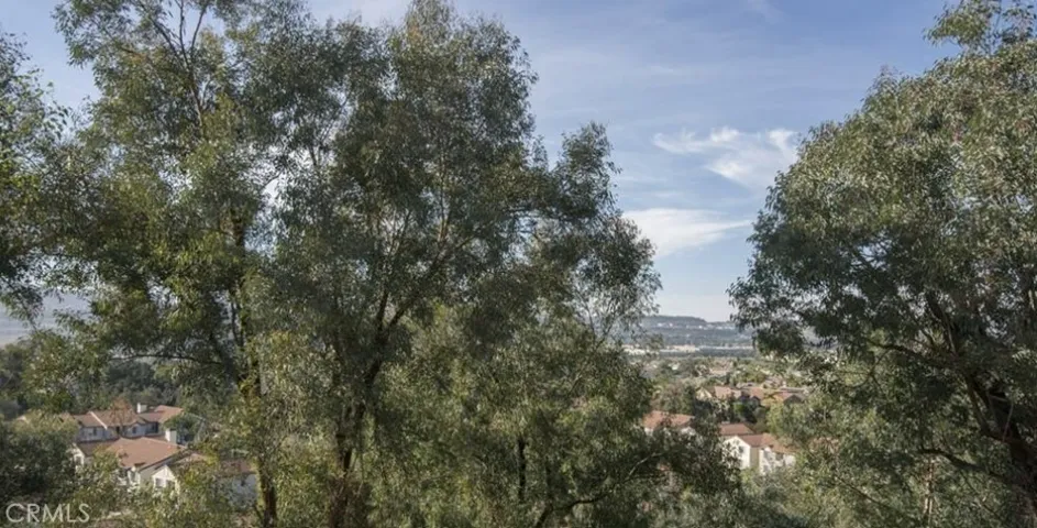 28145 Via Luis, Laguna Niguel, California 92677