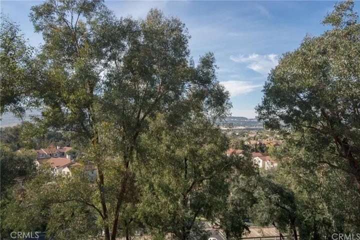 28145 Via Luis, Laguna Niguel, California 92677