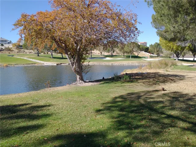 Community Pond