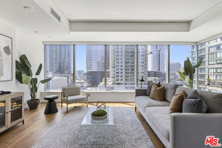 1155 S Grand Avenue 916, Los Angeles, California 90015