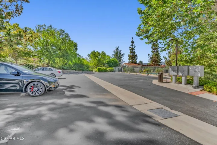 44-web-or-mls-DSC05254
