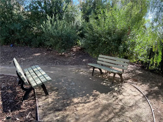 Dog Park Pic3