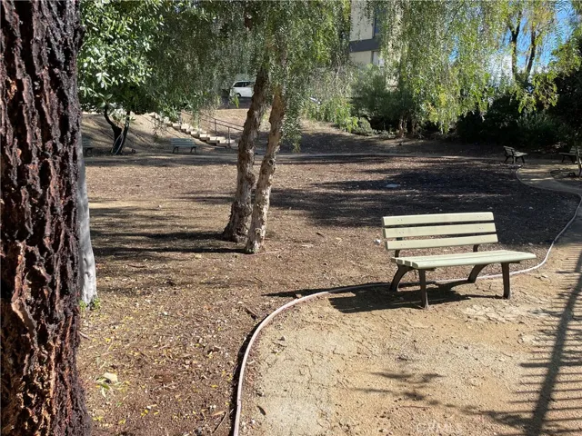 Dog Park Pic2