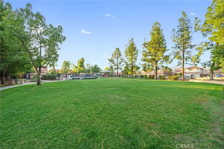 Community Park