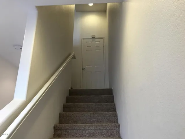 large (5)