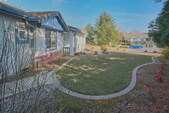 Front Garden