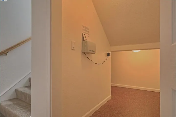 Under Stairs Closet