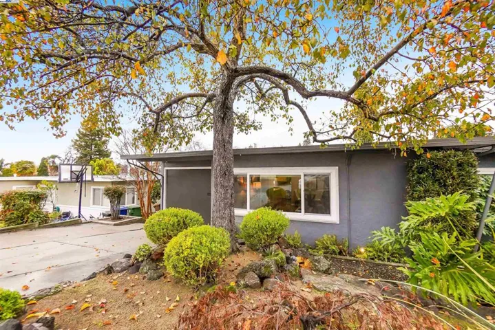 19115 Garrison Ave, Castro Valley, California 94546