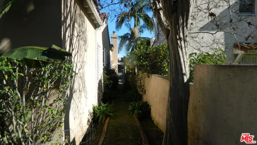 SOUTH SIDE YARD