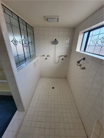 Master Bath Shower