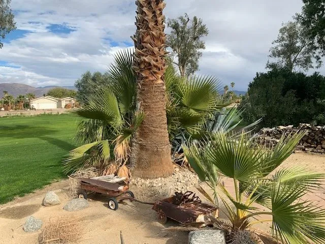 #210 1010 Palm Canyon Dr 210, Borrego Springs, California 92004