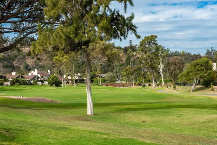 208 Via Osuna, Rancho Santa Fe, California 92091