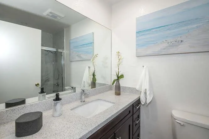 3253 Los Prados Street, San Mateo, California 94403