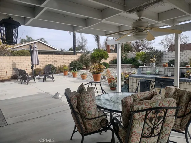 Patio and Backyard