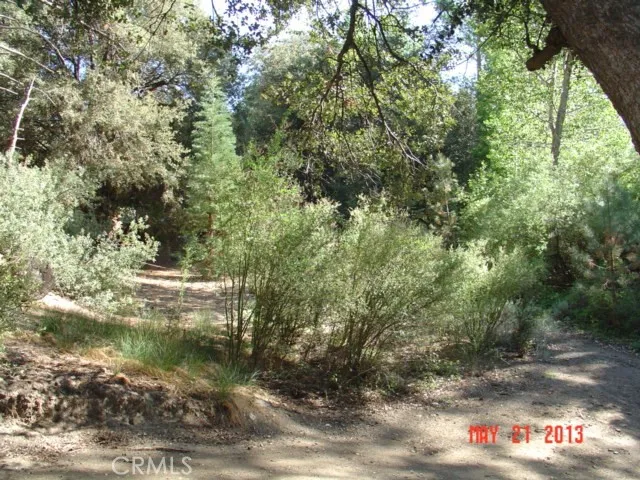 16008 Zurich Drive, Pine Mountain Club, California 93222