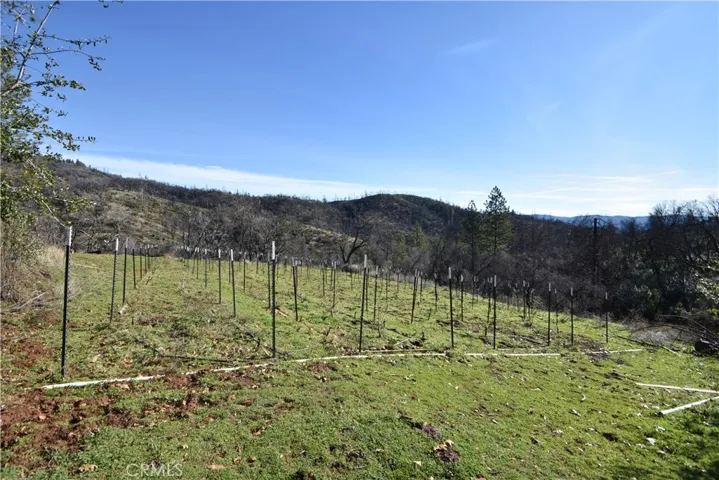 993 Big Ridge Road, Berry Creek, California 95916