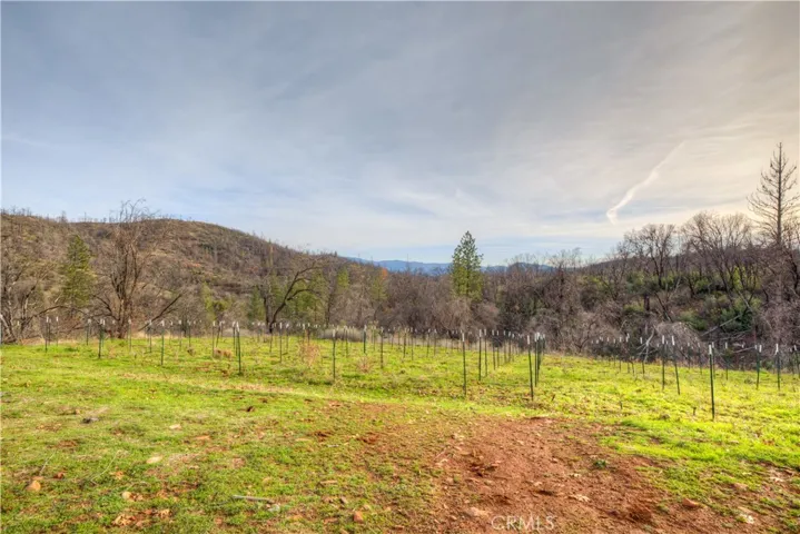 993 Big Ridge Road, Berry Creek, California 95916