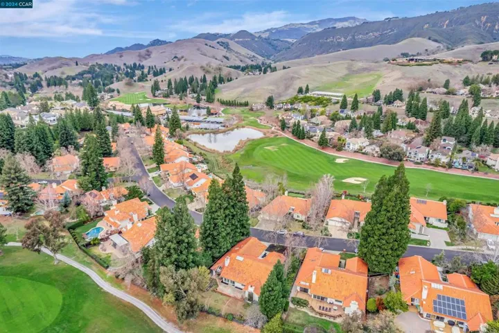 717 Liquidamber Pl, Danville, California 94506
