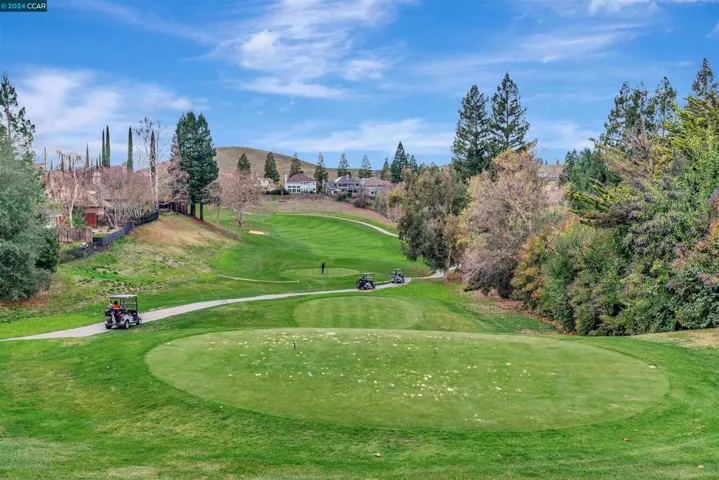 717 Liquidamber Pl, Danville, California 94506