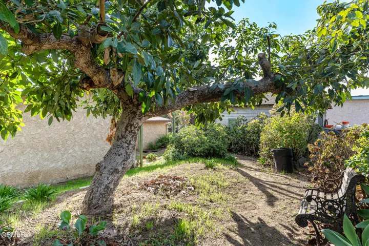 435 Mesa Dr  -  HsHProd - 13