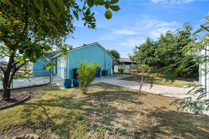 Backyard