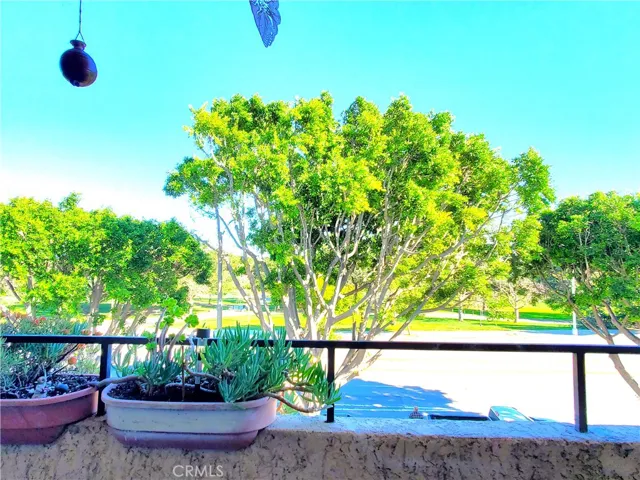 Large balcony off of living room has treetop and park view.