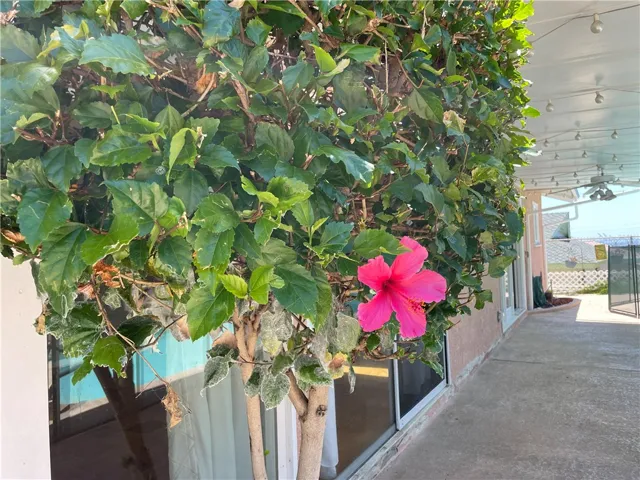 1922 Avenida Aprenda, Rancho Palos Verdes, California 90275
