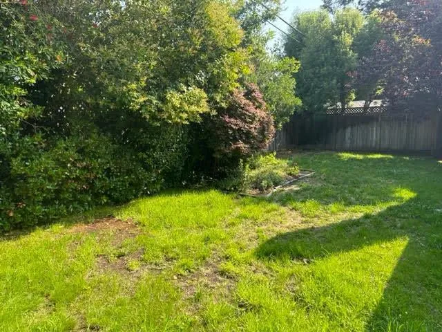 74 Tulip Lane, Palo Alto, California 94303