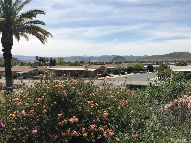 VIEW OF PARK FROM POOL