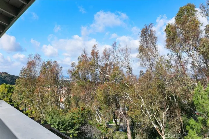 Views from the primary suite deck