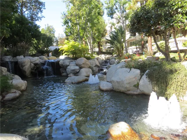 water garden